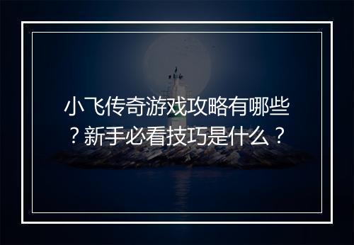 小飞传奇游戏攻略有哪些？新手必看技巧是什么？