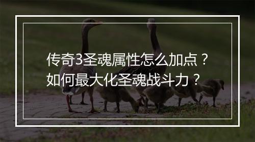 传奇3圣魂属性怎么加点？如何最大化圣魂战斗力？