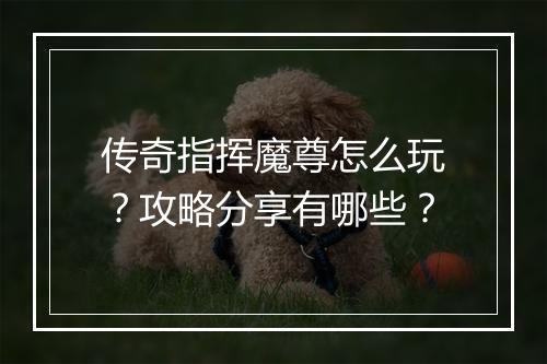传奇指挥魔尊怎么玩？攻略分享有哪些？