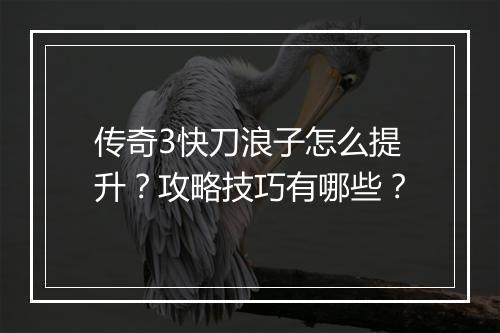 传奇3快刀浪子怎么提升？攻略技巧有哪些？