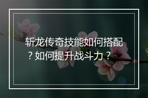 斩龙传奇技能如何搭配？如何提升战斗力？