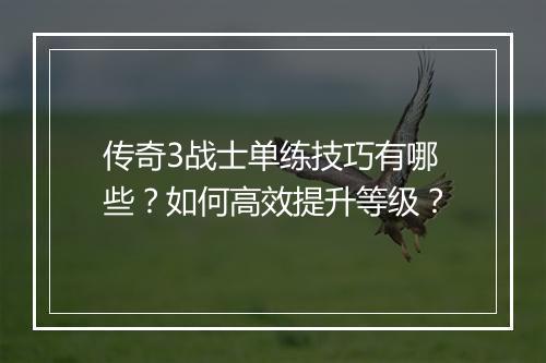 传奇3战士单练技巧有哪些？如何高效提升等级？