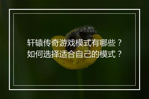 轩辕传奇游戏模式有哪些？如何选择适合自己的模式？
