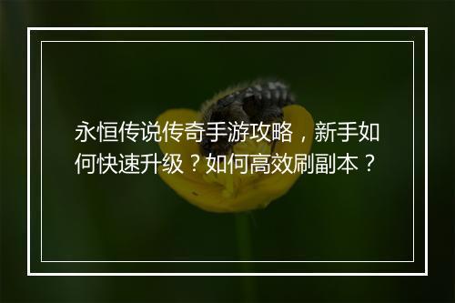 永恒传说传奇手游攻略，新手如何快速升级？如何高效刷副本？