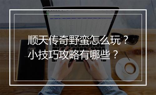 顺天传奇野蛮怎么玩？小技巧攻略有哪些？