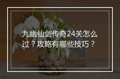 九幽仙剑传奇24关怎么过？攻略有哪些技巧？