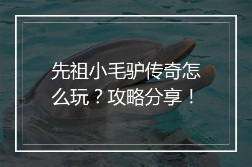 先祖小毛驴传奇怎么玩？攻略分享！