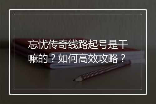忘忧传奇线路起号是干嘛的？如何高效攻略？