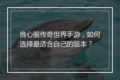良心服传奇世界手游，如何选择最适合自己的版本？