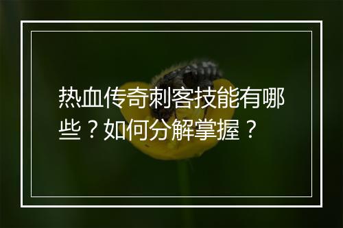 热血传奇刺客技能有哪些？如何分解掌握？