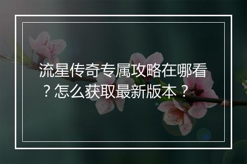 流星传奇专属攻略在哪看？怎么获取最新版本？