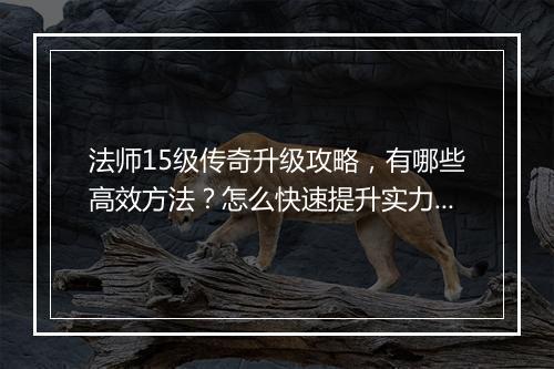 法师15级传奇升级攻略，有哪些高效方法？怎么快速提升实力？