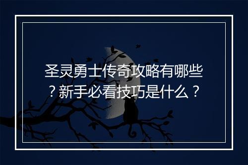 圣灵勇士传奇攻略有哪些？新手必看技巧是什么？