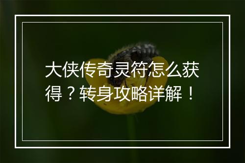 大侠传奇灵符怎么获得？转身攻略详解！