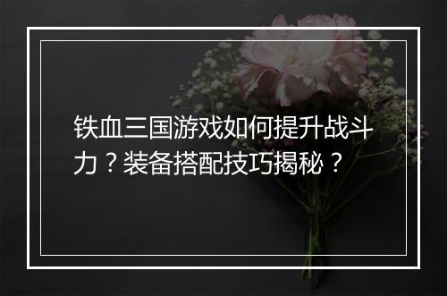 铁血三国游戏如何提升战斗力？装备搭配技巧揭秘？