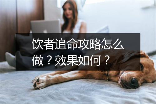 饮者追命攻略怎么做？效果如何？
