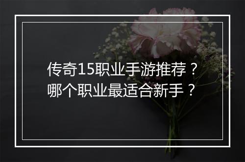 传奇15职业手游推荐？哪个职业最适合新手？