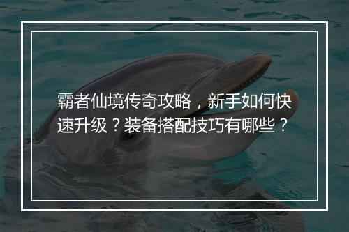 霸者仙境传奇攻略，新手如何快速升级？装备搭配技巧有哪些？