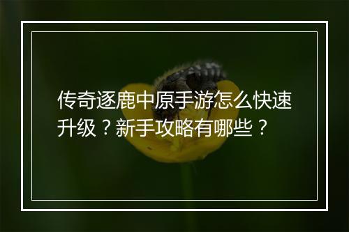 传奇逐鹿中原手游怎么快速升级？新手攻略有哪些？