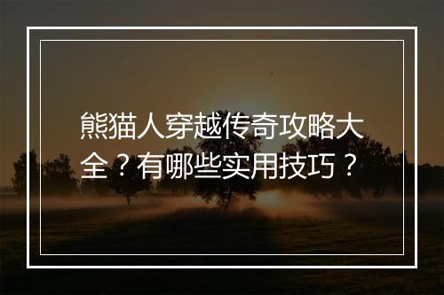熊猫人穿越传奇攻略大全？有哪些实用技巧？