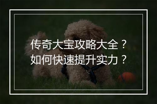 传奇大宝攻略大全？如何快速提升实力？