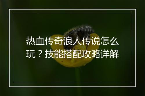 热血传奇浪人传说怎么玩？技能搭配攻略详解