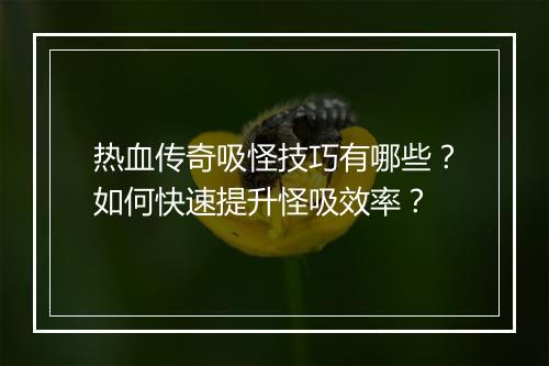 热血传奇吸怪技巧有哪些？如何快速提升怪吸效率？