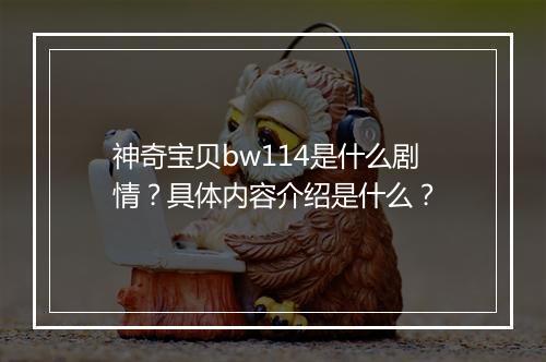神奇宝贝bw114是什么剧情？具体内容介绍是什么？