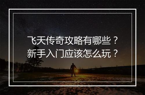 飞天传奇攻略有哪些？新手入门应该怎么玩？