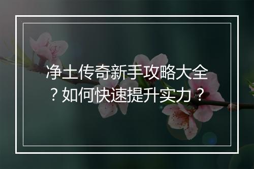 净土传奇新手攻略大全？如何快速提升实力？