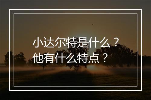 小达尔特是什么？他有什么特点？