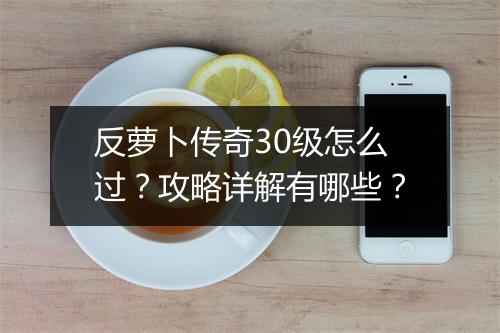 反萝卜传奇30级怎么过？攻略详解有哪些？