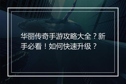 华丽传奇手游攻略大全？新手必看！如何快速升级？
