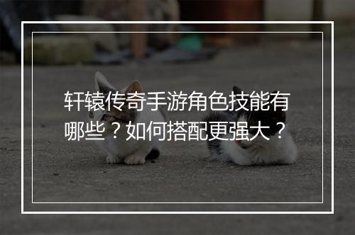 轩辕传奇手游角色技能有哪些？如何搭配更强大？