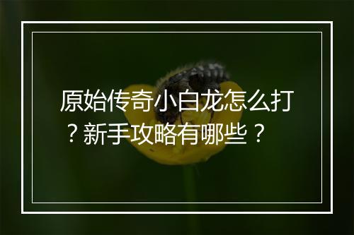 原始传奇小白龙怎么打？新手攻略有哪些？