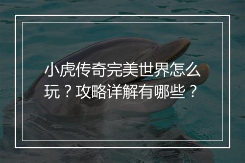 小虎传奇完美世界怎么玩？攻略详解有哪些？