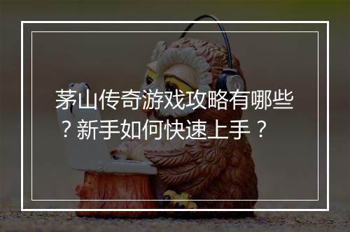 茅山传奇游戏攻略有哪些？新手如何快速上手？
