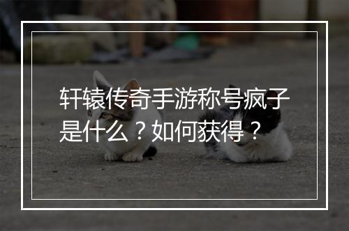 轩辕传奇手游称号疯子是什么？如何获得？