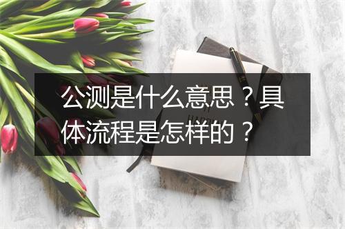 公测是什么意思？具体流程是怎样的？