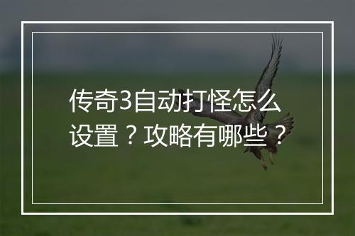 传奇3自动打怪怎么设置？攻略有哪些？