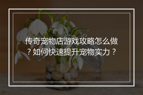 传奇宠物店游戏攻略怎么做？如何快速提升宠物实力？