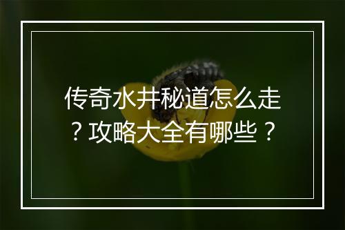 传奇水井秘道怎么走？攻略大全有哪些？
