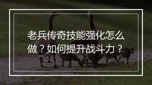 老兵传奇技能强化怎么做？如何提升战斗力？