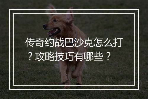 传奇约战巴沙克怎么打？攻略技巧有哪些？