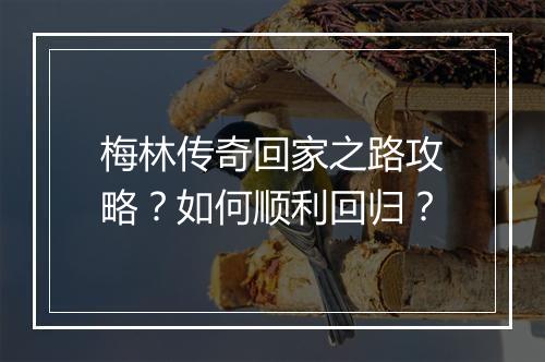 梅林传奇回家之路攻略？如何顺利回归？