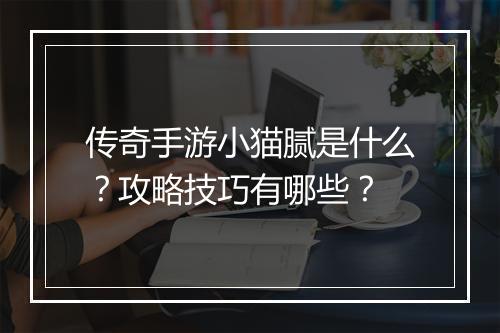传奇手游小猫腻是什么？攻略技巧有哪些？