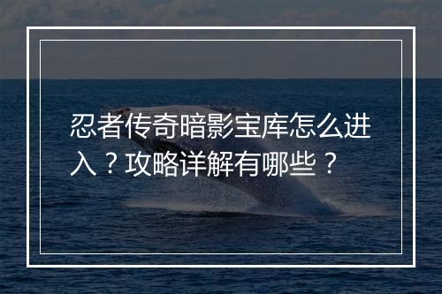 忍者传奇暗影宝库怎么进入？攻略详解有哪些？
