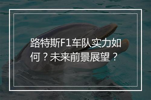 路特斯F1车队实力如何？未来前景展望？