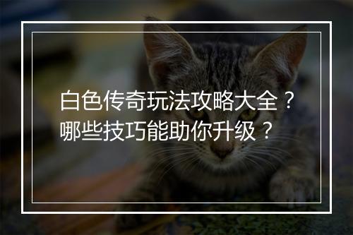 白色传奇玩法攻略大全？哪些技巧能助你升级？