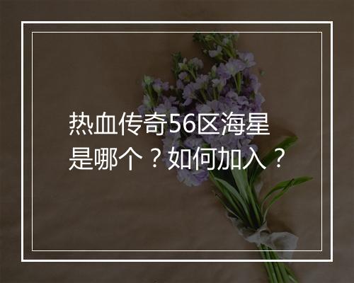 热血传奇56区海星是哪个？如何加入？